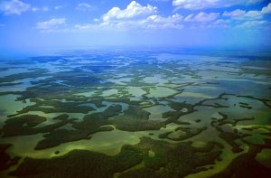 OB.Aerial